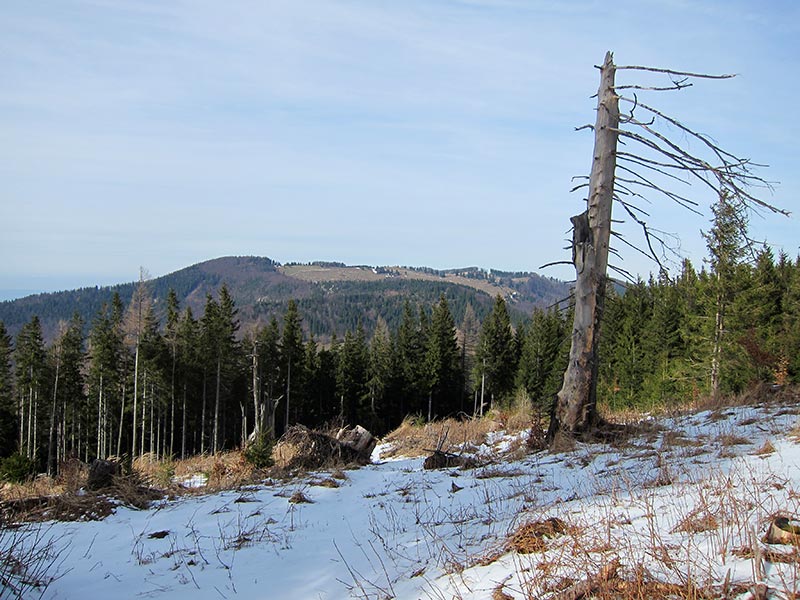 spitzkogel